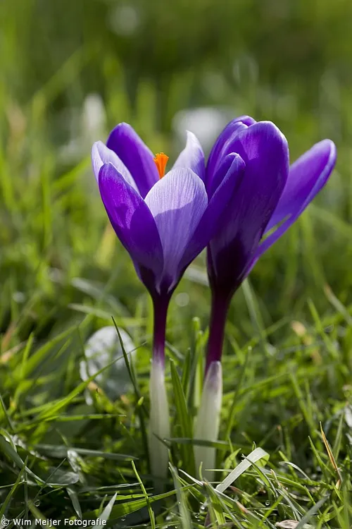 tumblr n1ikvoeafh1svvyvco8 1280