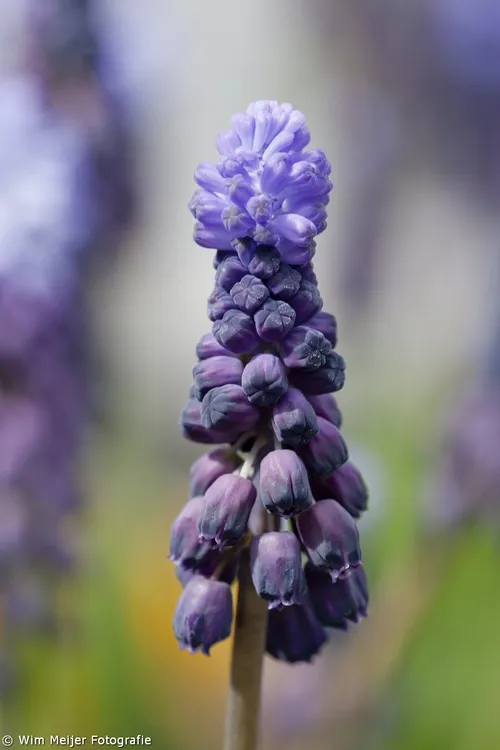 tumblr n3tm26sqxb1svvyvco1 1280