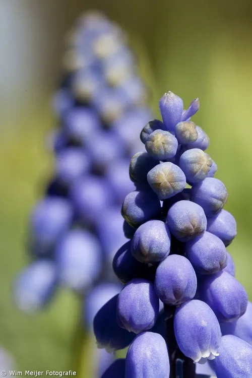 tumblr n3tm26sqxb1svvyvco5 1280