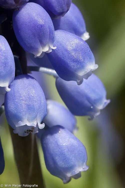 tumblr n3tm26sqxb1svvyvco6 1280