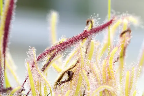 tumblr n66fr4vns61svvyvco1 1280