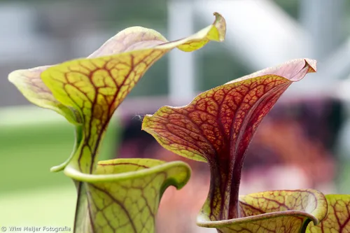 tumblr n66g5a0ltn1svvyvco1 1280