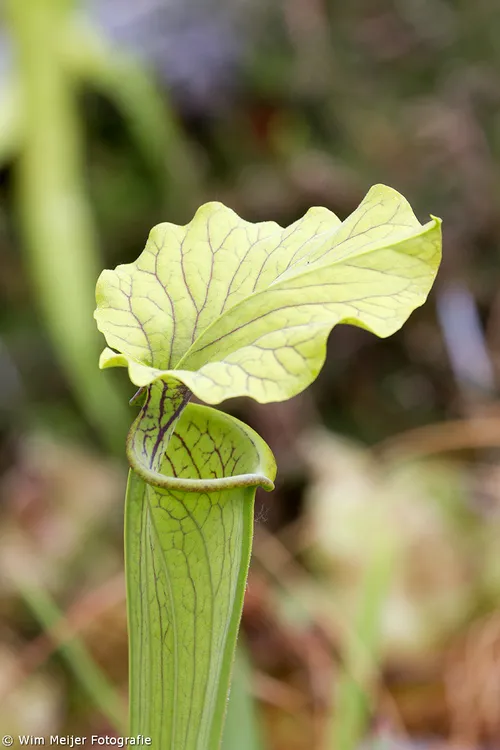 tumblr n66h1hntpo1svvyvco1 1280