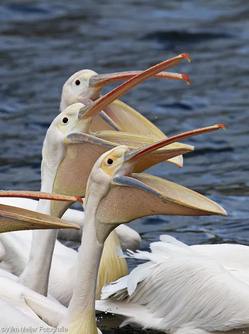 tumblr nkmqqmc14o1svvyvco1 1280