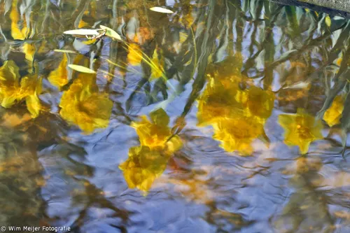 tumblr nlxs3krcjl1svvyvco1 1280b