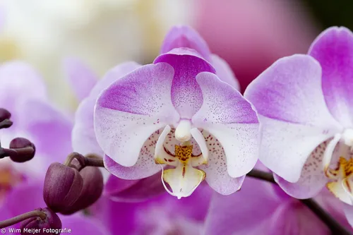 tumblr nm55esmlrb1svvyvco3 1280