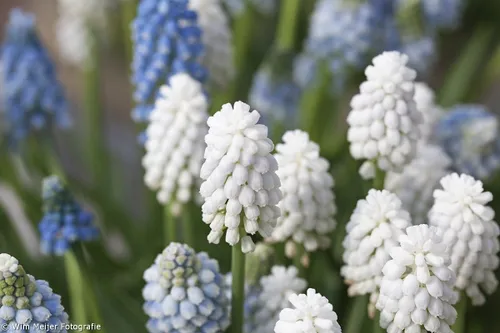 tumblr nmpio4g27k1svvyvco2 1280