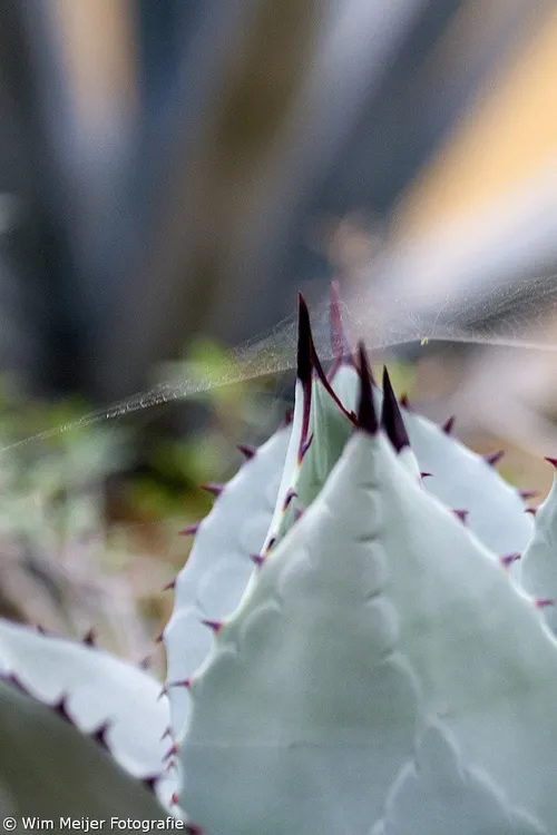 tumblr npwdd1xptb1svvyvco1 1280