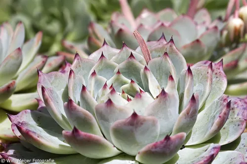 tumblr npwdd1xptb1svvyvco4 12802