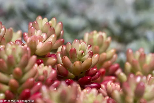 tumblr npwdd1xptb1svvyvco5 1280