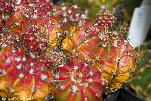 tumblr npwdd1xptb1svvyvco7 12801