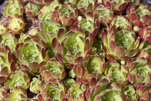 tumblr npwdd1xptb1svvyvco8 1280