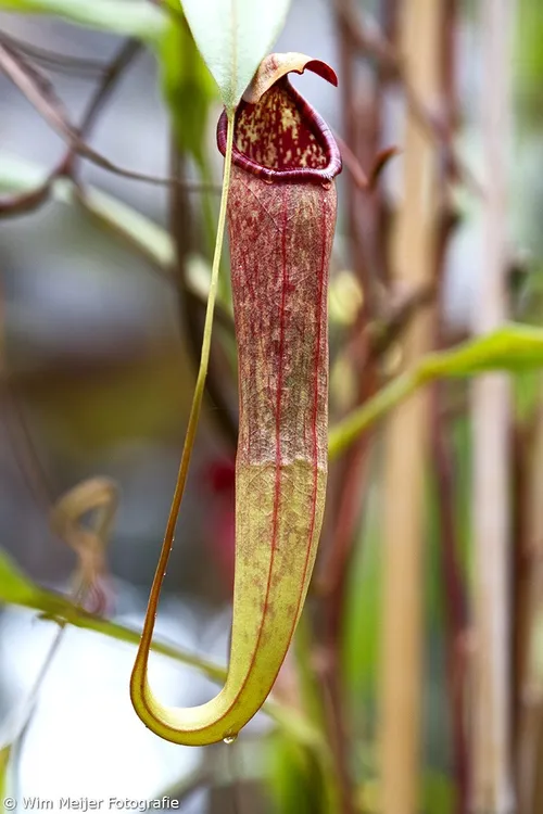 tumblr nq1hdjcfgl1svvyvco4 1280