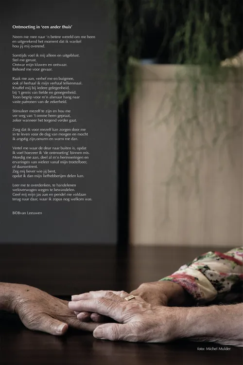 van leeuwen krant banner