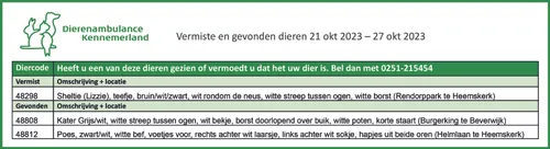 vermiste en gevonden dieren 21 okt 2023 e28093 27 okt 2023