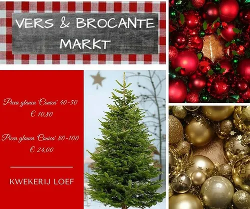 vers en brocante 5 december