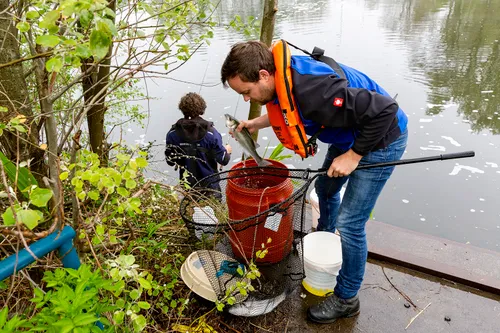 vissen tu wageningen 4711