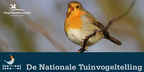 vogeltelling 2018 0