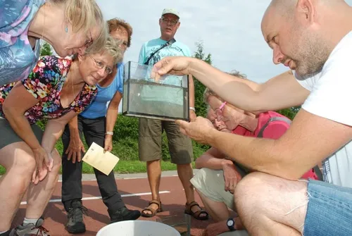 vrijwilligers leren over waterdiertjes banner
