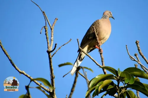 whatsapp image 2023 06 04 at 151525