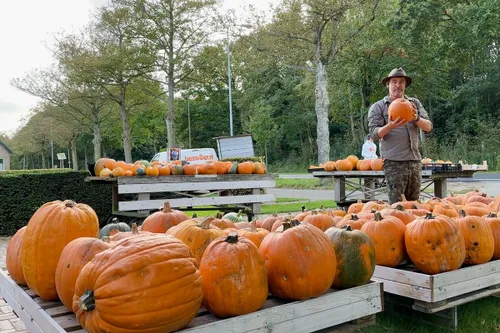 whatsapp image 2023 10 07 at 134044 4