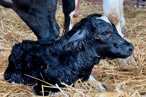 whatsapp image 2023 11 04 at 171808 1