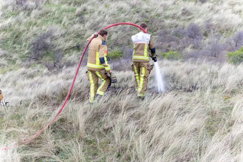 whatsapp image 2024 04 06 at 184016 1