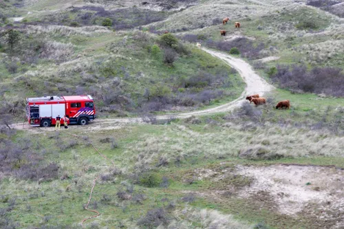 whatsapp image 2024 04 06 at 184018 1