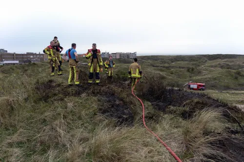 whatsapp image 2024 04 06 at 184018 2