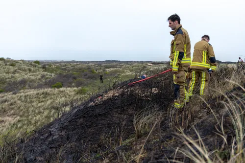 whatsapp image 2024 04 06 at 184018