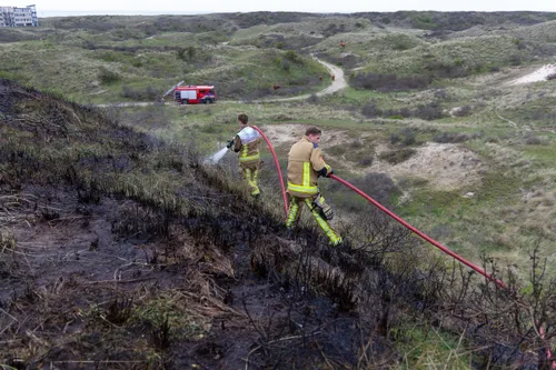 whatsapp image 2024 04 06 at 184019 1