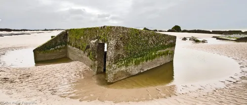 wi meijer fotografie wissant 6