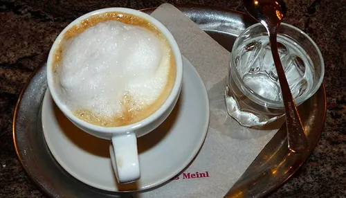 wiener melange 1 wiki