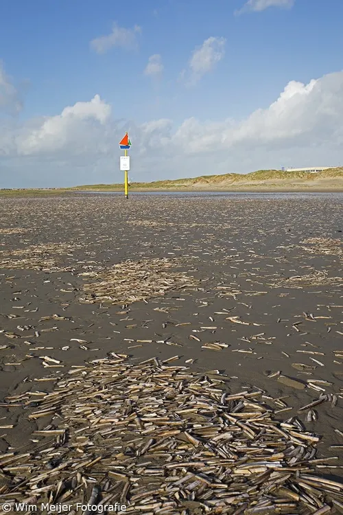 wim meijer fotografie 5i5a0117