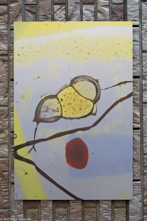 wim meijer fotografie 5i5a0297