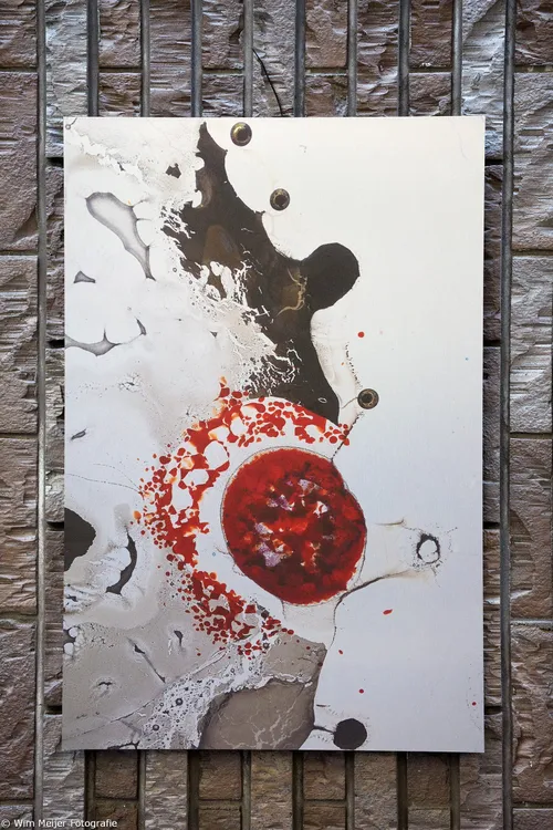 wim meijer fotografie 5i5a0304