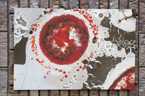 wim meijer fotografie 5i5a03061