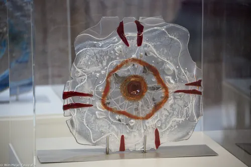 wim meijer fotografie 5i5a03071