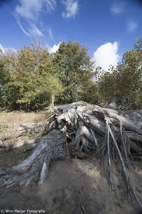 wim meijer fotografie 5i5a2967
