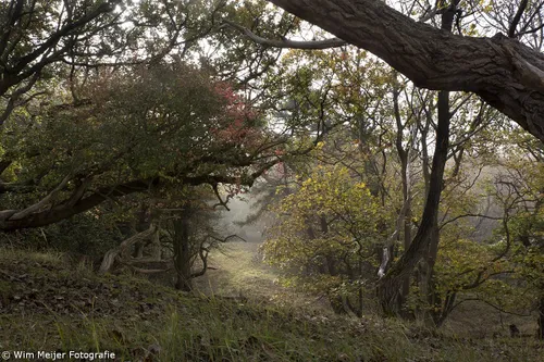 wim meijer fotografie 5i5a3262