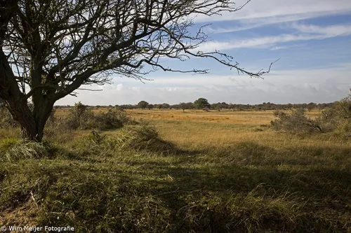 wim meijer fotografie 5i5a3299