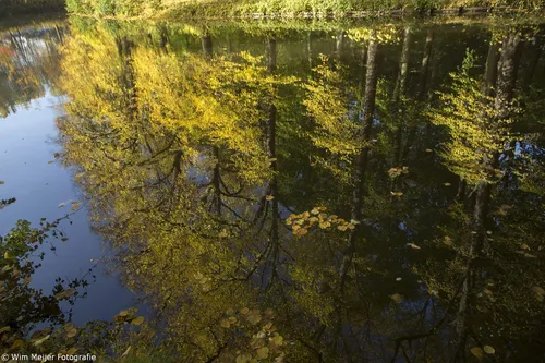 wim meijer fotografie 5i5a3603