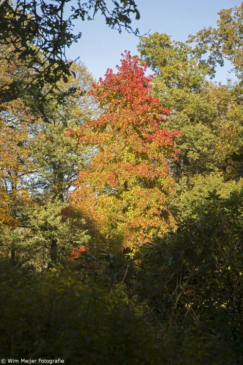 wim meijer fotografie 5i5a3687