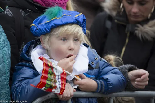 wim meijer fotografie 5i5a3761