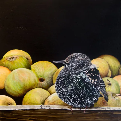 wim meijer fotografie 5i5a6343