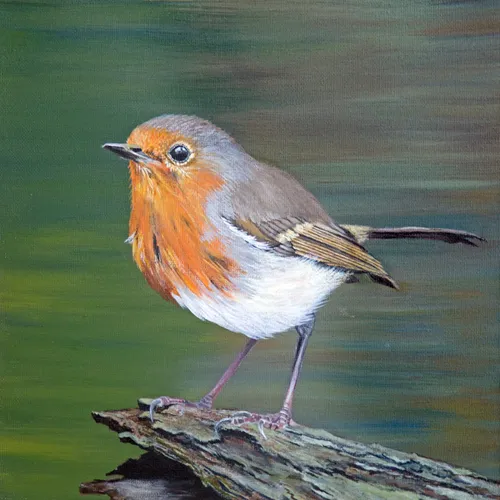 wim meijer fotografie 5i5a6348