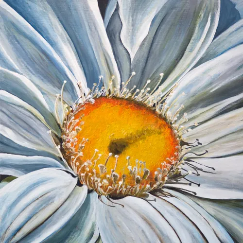 wim meijer fotografie 5i5a6362