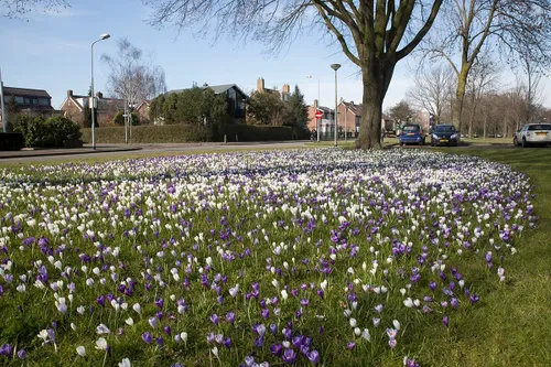 wim meijer fotografie 5i5a6445