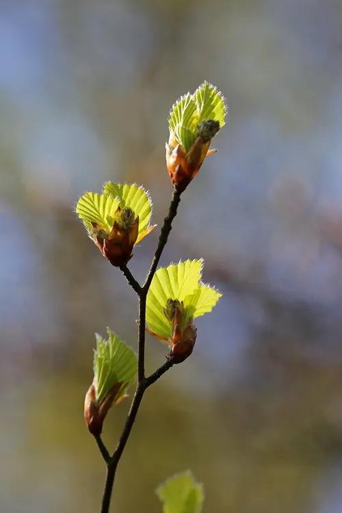 wim meijer fotografie 5i5a7032