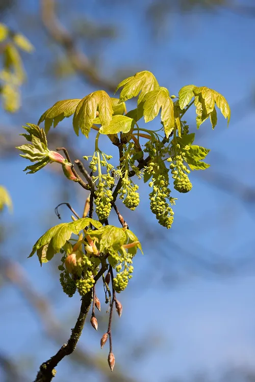 wim meijer fotografie 5i5a7044
